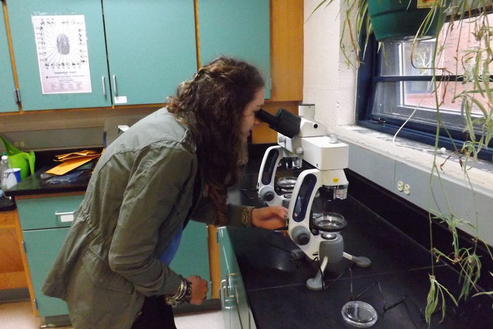 Barnstable  Student At The  Microscope