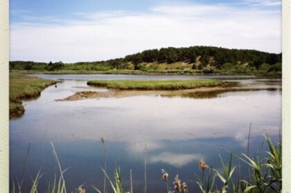 Cape Cod Marsh 9a1c83604925a9fc2f995c2335a7a945