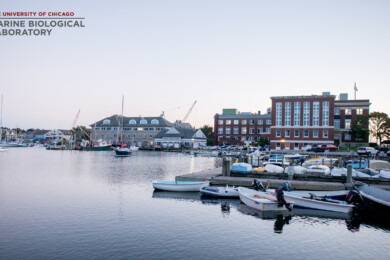 MBL Boats